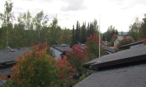 Sammaleen poisto katolta, Jyväskylä, 1300 m2